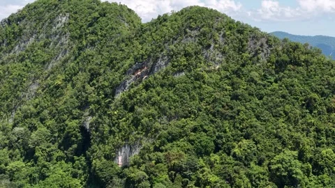 A rocky mountain densely covered with trees and plants, close up Stock Footage 337812604
