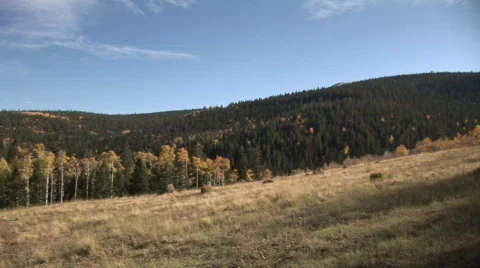 Rocky Mountain Fall Pan three 库存影片 305306