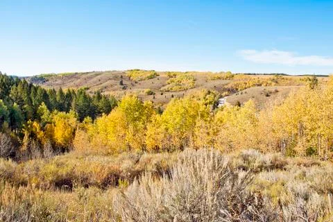 Rocky mountain fall 스톡 사진