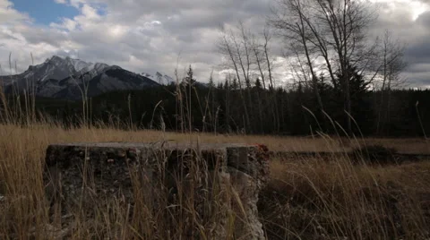 Rocky Mountain Field Stockbeeldmateriaal 43965784