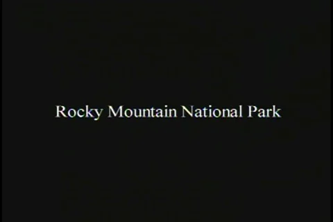 Rocky Mountain Flowers Close-up Stock Footage 99117752