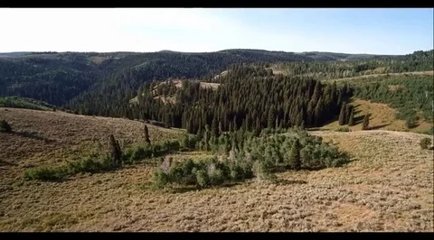 Rocky mountain forest Stock Footage 74903152