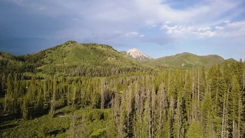 Rocky Mountain Forest Stock Footage 83553405