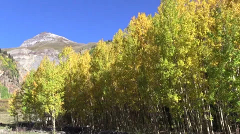 Rocky Mountain Landscape in Fall Vídeos de archivo 31228416