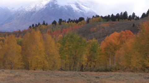 Rocky Mountain Landscape in Fall Vídeos de archivo 69039371