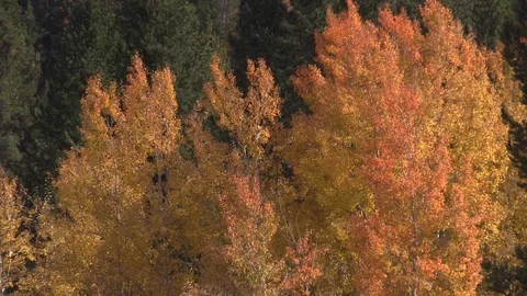 Rocky Mountain Landscape in Fall Vídeos de archivo 96125539