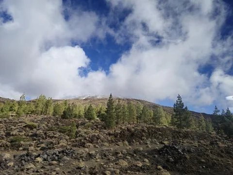 Rocky mountain landscape with pine trees and clouds Stock Photos
