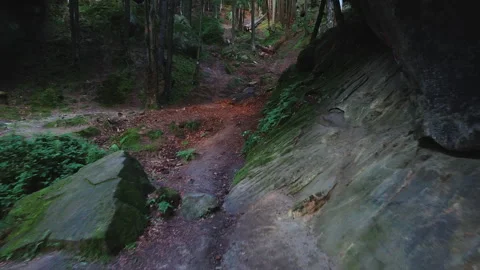 Rocky mountain path in the dense green forest. Stock Footage 151506717