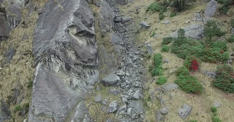 Rocky Mountain Path with Flowers Stock Footage 81003554