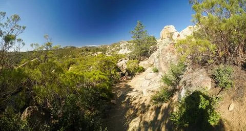A rocky mountain path with trees in the background Stock Photos