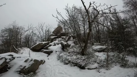 Rocky mountain peak with trees in grey cloudy snowy winter season landscape Stock Footage 170579709