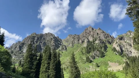Rocky mountain peaks and conifer forest in Kazakhstan Stock Footage 341801482