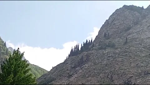 Rocky Mountain Peaks and Pine Trees Kalam Valley Stock Footage 344373543