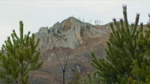 Rocky mountain peaks in cloudy windy weather, fir trees in foreground Stock Footage 268611437