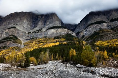 Rocky mountain 스톡 사진