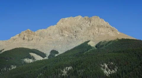 Rocky Mountain Range And Forest Stock Photos