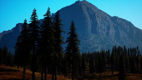 Rocky mountain range with trees Stock Illustration