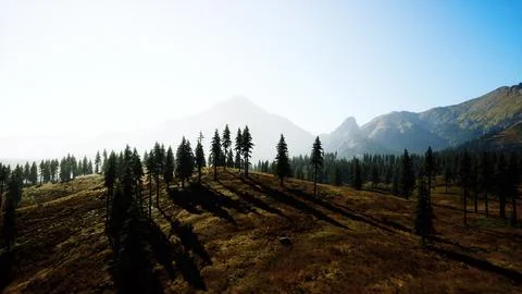 Rocky mountain range with trees Stock Illustration
