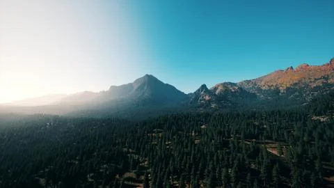 Rocky mountain range with trees Stock Illustration