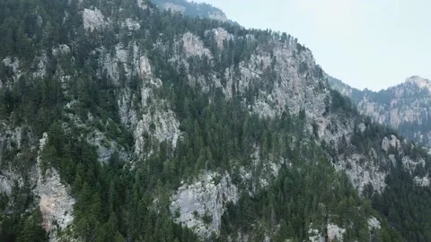 Rocky Mountain Ranges with Rrees Stock Footage 237986723