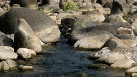 A rocky mountain river flowing clear in the dry season Video stock 323040406