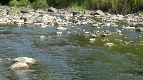A rocky mountain river flowing clear in the dry season Stock Footage 323040416