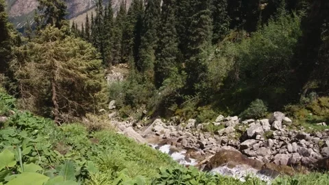 Rocky Mountain River Flowing Through Vegetated Kyrgyz Valley Stock Footage 306607242