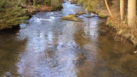 Rocky Mountain River Stock Footage 99940820