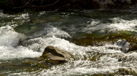 Rocky mountain river rapids Video stock 34288938