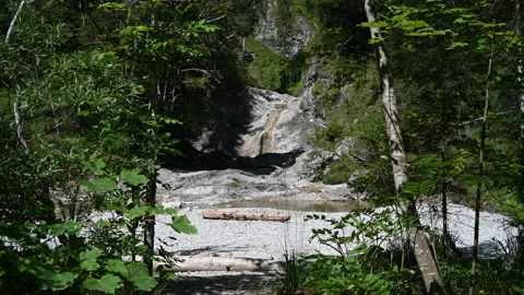 A rocky mountain river with waterfall in the forest Video stock 212759512