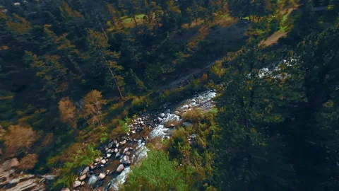 Rocky Mountain Rush: FPV Drone Dive Amidst Trees Stock-Footage 252044082