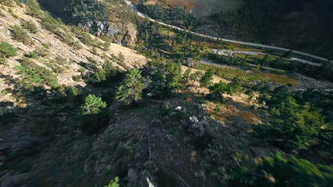 Rocky Mountain Rush: FPV Drone Dive Amidst Trees Stock-Footage 252044307
