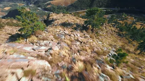 Rocky Mountain Rush: FPV Drone Dive Amidst Trees Stock-Footage 252045451