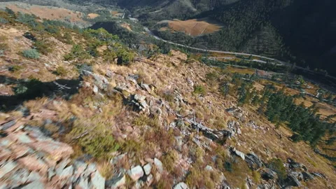 Rocky Mountain Rush: FPV Drone Dive Amidst Trees Stock-Footage 252045679