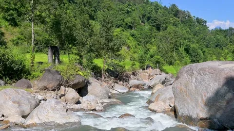 Rocky Mountain Stream and Lush Green Riverbank Stock Footage 340277527