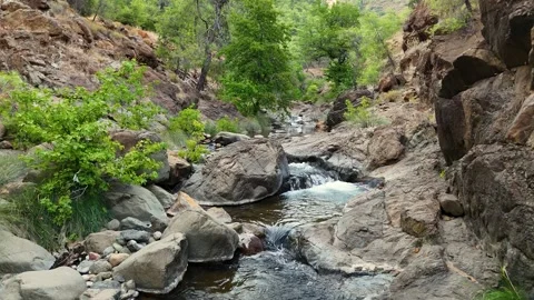 Rocky mountain stream flowing through green forest in summer Stock Footage 314893168