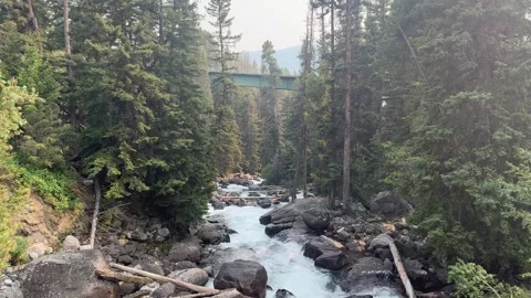 Rocky Mountain Stream Flowing Through Scenic Colorado Wilderness Vidéo 343790203