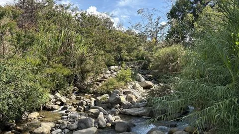 Rocky Mountain Stream Flowing Through Tropical Forest, Wamena Papua Stock Photos