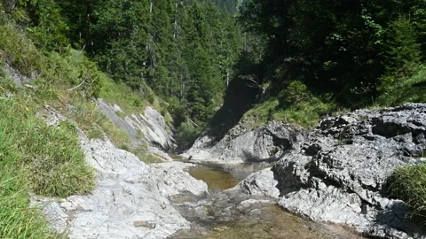 A rocky mountain stream flows in summer Video stock 219651124