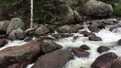 Rocky Mountain Stream Stock Footage 79416507