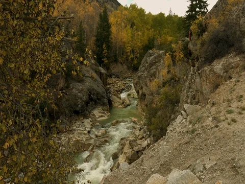 Rocky Mountain Stream Stock Footage 80498953