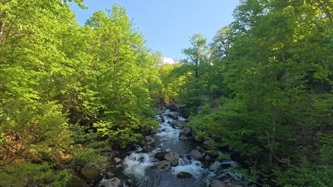 Rocky Mountain Stream Forest Cascade (Silent Nature Footage) Video stock 336100537