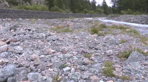 Rocky Mountain Stream - Pan Left to Right 動画素材 41590636