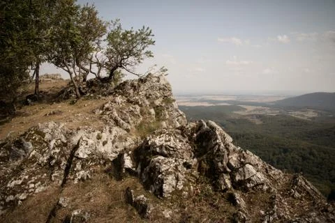 Rocky mountain top with trees Stock Photos