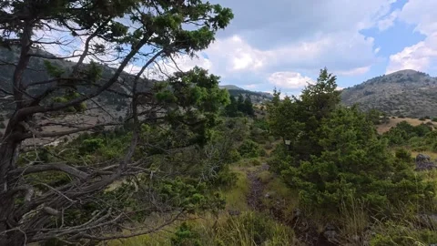 Rocky Mountain Trail Through Alpine Mediterranean Forest During Light Rain Stock Footage 327560376
