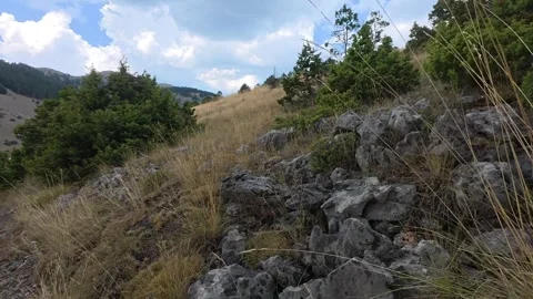 Rocky Mountain Trail Through Alpine Valley With Fir Trees Under Autumn Clouds Video stock 327669886