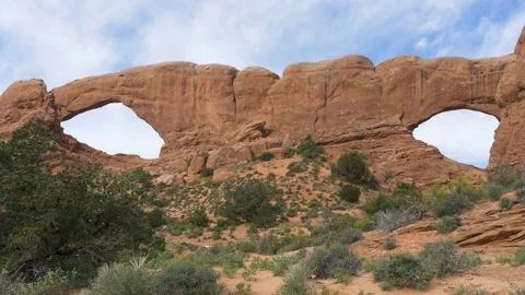 A rocky mountain with trees in the background Stock Footage 156020772
