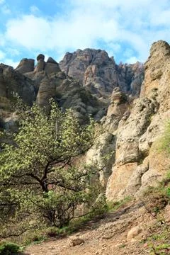 Rocky mountain view Stock Photos