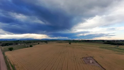 Rocky mountains are a distant purple backdrop of amber waves of grain, A Stock Footage 133453086