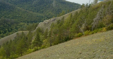 Rocky mountains covered by forest. Stock Footage 127083701